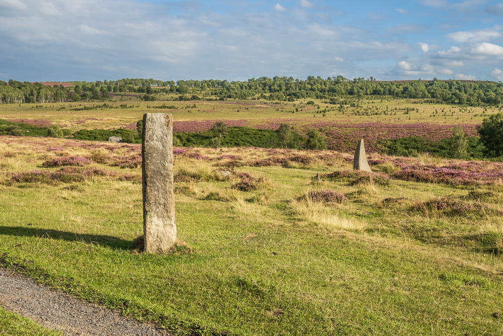 Companion Stone